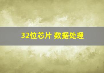 32位芯片 数据处理